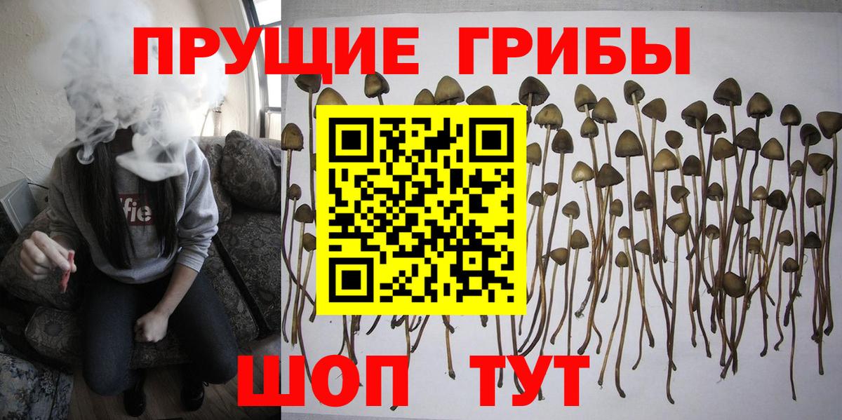 Галлюциногенные грибы мухоморы Киржач